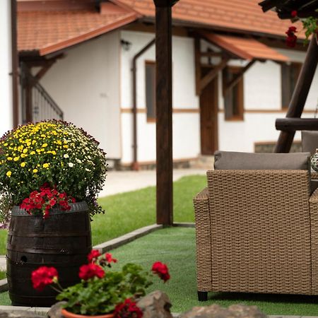 Отель Magda Garden Кырцишоара Экстерьер фото