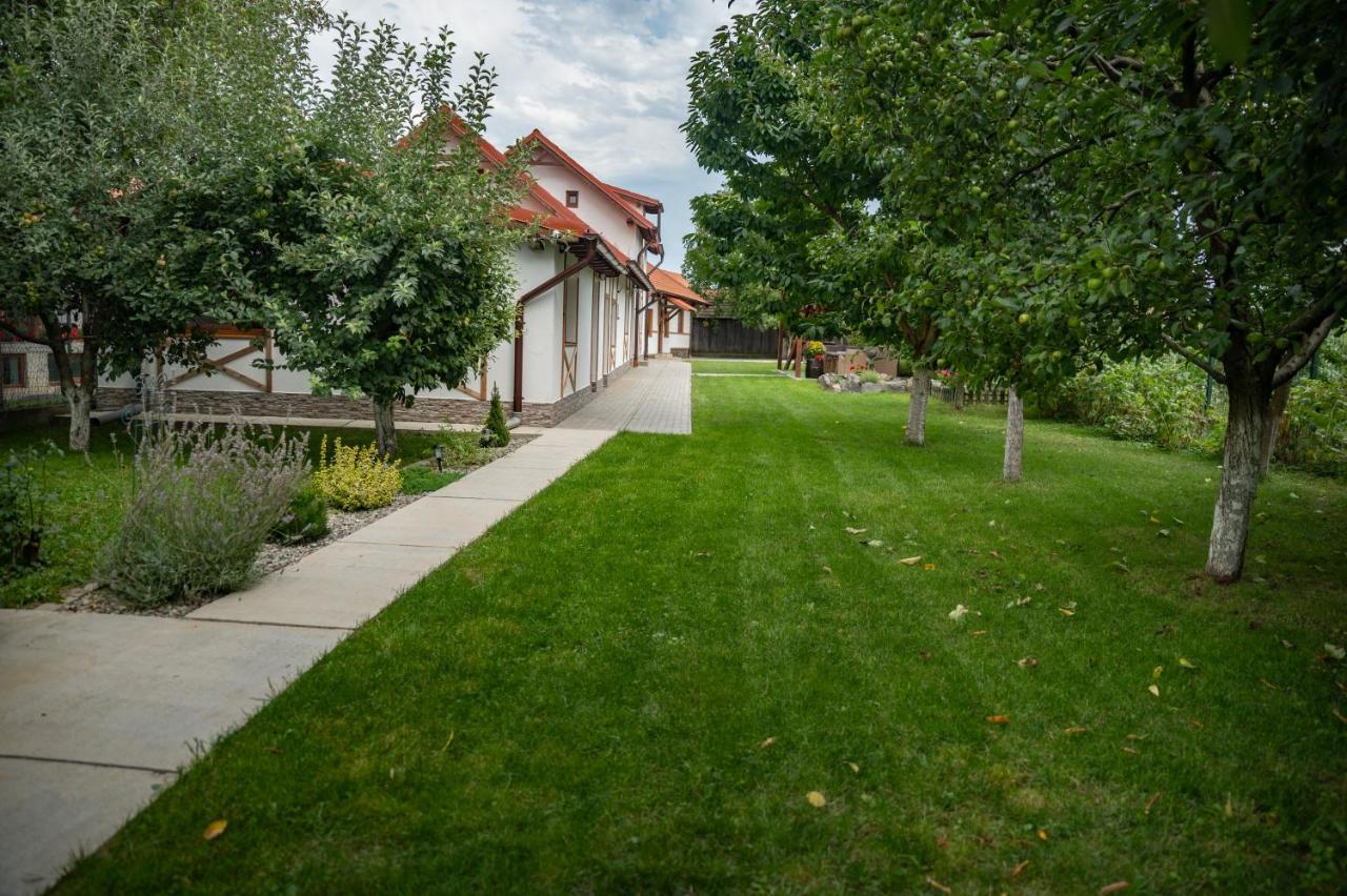 Отель Magda Garden Кырцишоара Экстерьер фото