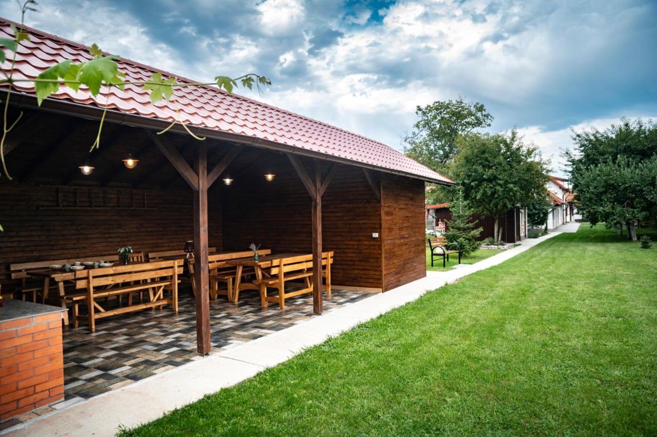 Отель Magda Garden Кырцишоара Экстерьер фото