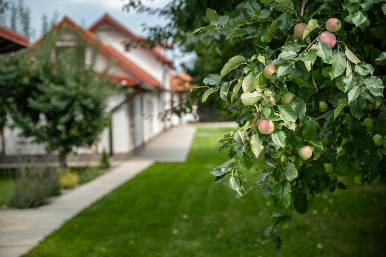 Отель Magda Garden Кырцишоара Экстерьер фото