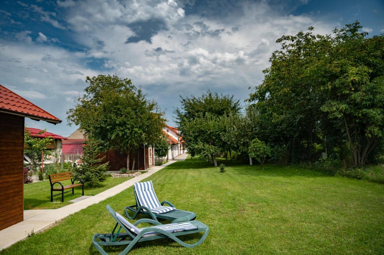 Отель Magda Garden Кырцишоара Экстерьер фото