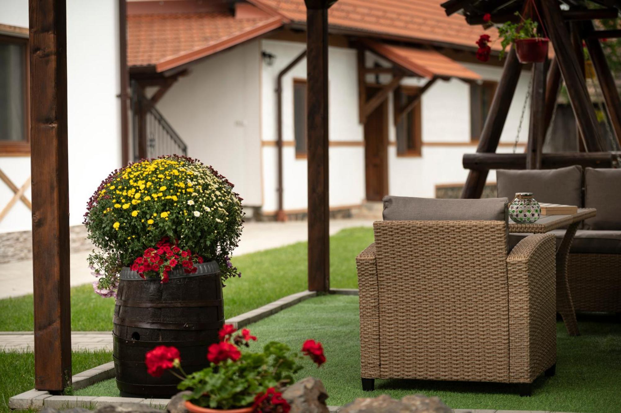 Отель Magda Garden Кырцишоара Экстерьер фото