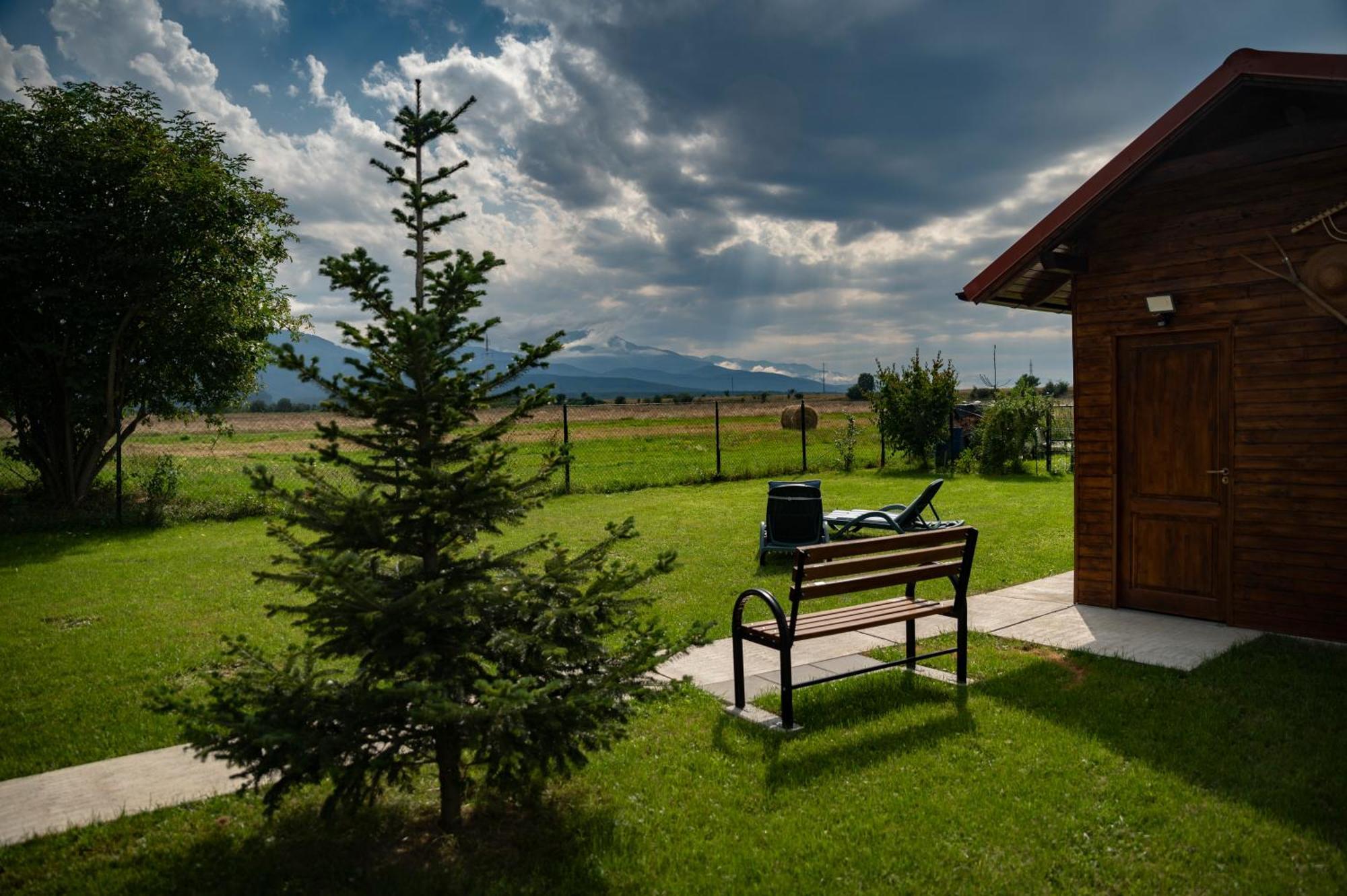Отель Magda Garden Кырцишоара Экстерьер фото